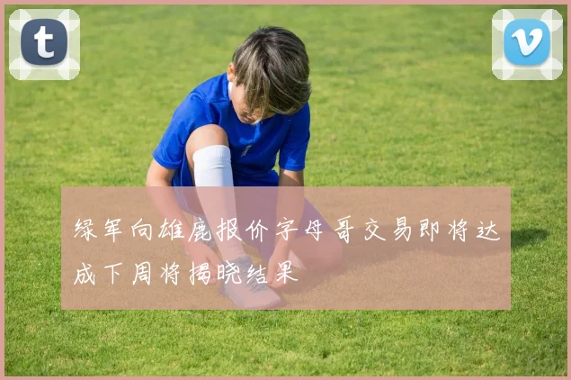 绿军向雄鹿报价字母哥交易即将达成下周将揭晓结果