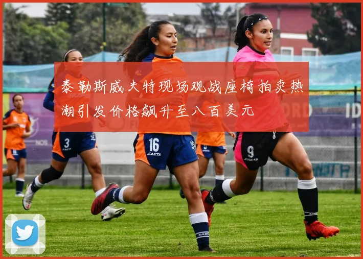 泰勒斯威夫特现场观战座椅拍卖热潮引发价格飙升至八百美元