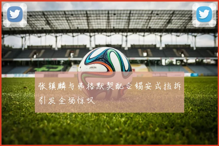 张镇麟与弗格默契配合锡安式挡拆引发全场惊叹